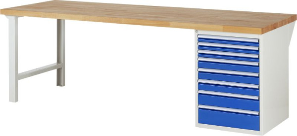Etabli RAU série 7000 - modèle 7519-1, L2500 x P900 x H890 mm, base système L2500 x P850 x H850 mm, 03-7519A1-259B4M.11
