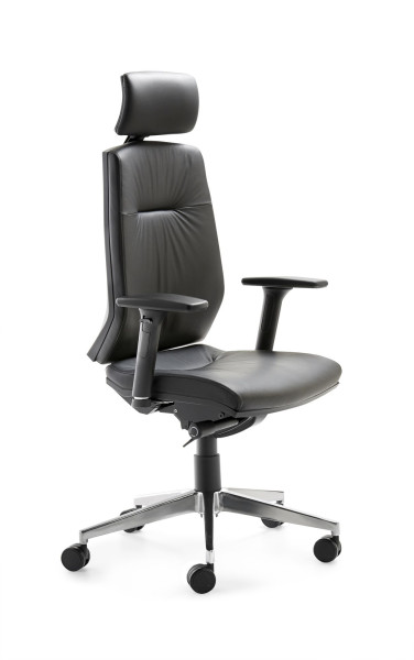 Chaise pivotante Mayer Sitzmöbel , dossier réglable en hauteur sur 7 positions, appui-tête réglable, roulettes pour tapis, noir, 2480_81007