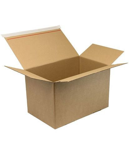 Boîte pliante automatique TransPak, 1 paroi, avec fermeture SK, 400 x 260 x 250 mm, format B4, qualité 1.30B, pack : 20 pièces, 299450