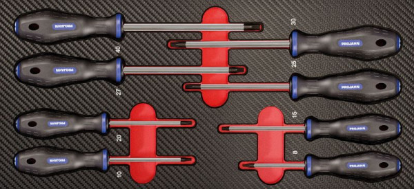 Insert de tournevis Projahn "TX avec trou" 8 pièces, 5999-073
