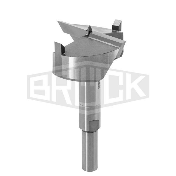 BRÜCK ZOBO carbure WD, diamètre : 50 mm, longueur totale : 100 mm, système de perçage 2, 762287