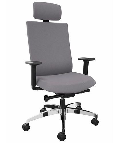 Chaise de bureau DENIOS AdJust evo, technologie Syncro-Evolution, piètement aluminium, support nuque, gris, 292412
