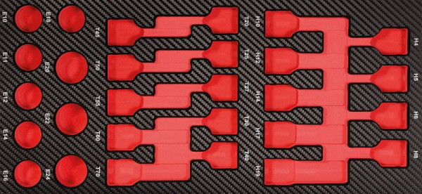 Insert Projahn ProForm vide pour douilles TX + douille hexagonale, 5999-37E