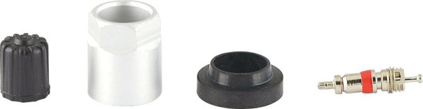 Kit de service KS Tools RDKS / TPMS pour systèmes de surveillance de la pression des pneus 05, 149.1005