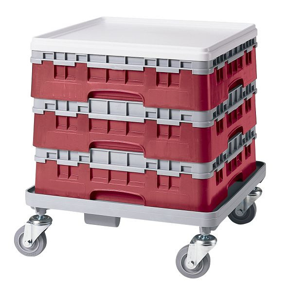 Panier de base Cambro 1/1 avec 1 rallonge, base de Camrack®, canneberges complètes, paquet de 4, BR414416