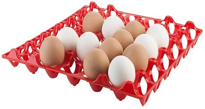 Plateau Contacto pour 30 œufs, rouge, 8034/031