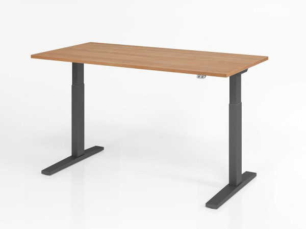 Bureau Hammerbacher XMKA16, 160 x 80 cm, plateau : noyer, épaisseur 25 mm, chant épais en ABS, forme rectangulaire, graphite, VXMKA16/N/G