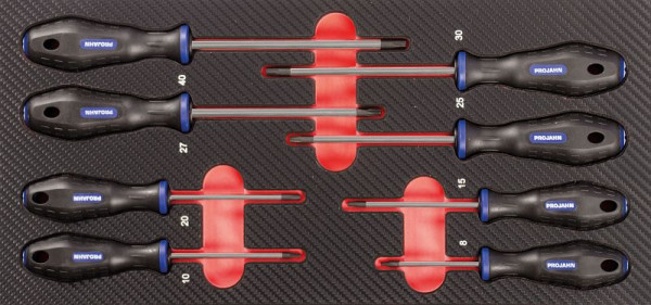 Insert de tournevis Projahn 1 "TX" 8 pièces, 5999-072