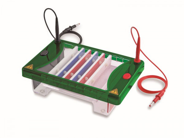 Consort EHS1300-SYS Unité horizontale MIDIPLUS 15X7-10-15 cm, EHS1300-SYS
