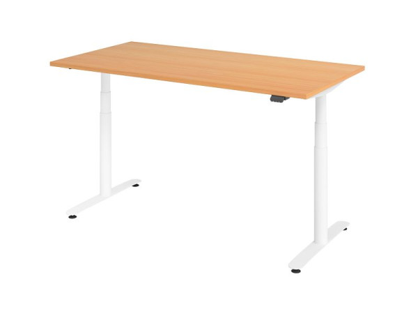 Hammerbacher bureau assis-debout électrique 160x80cm hêtre/blanc, VXDLR16/6/W