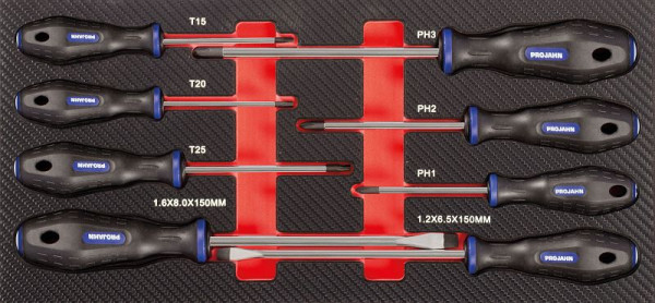 Projahn Phillips, insert de tournevis plat et TORX® "mixte" 8 pièces, 5999-074