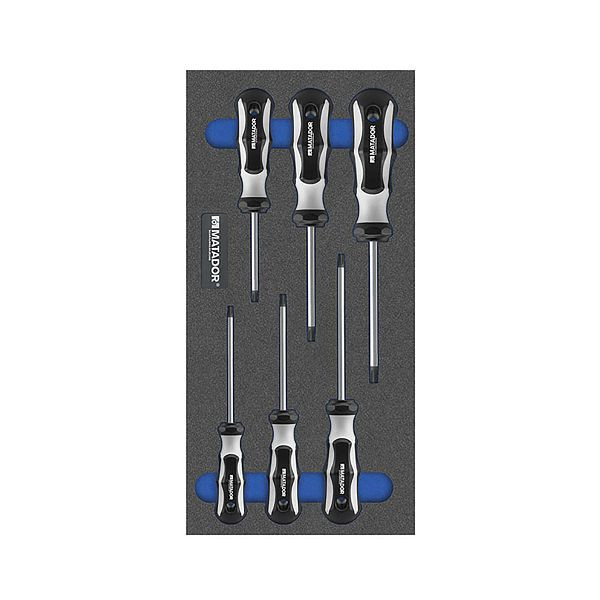 Module d'outils MATADOR : Tournevis TORX®, 1/3 : 390 x 193 mm, 8164 1620