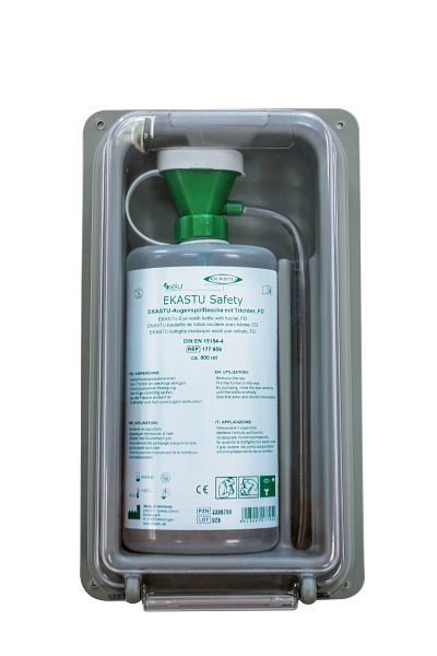 EKASTU Safety Coffret mural de EKASTU Safety avec couvercle transparent (vide), 277951