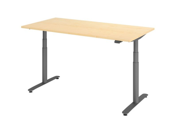 Hammerbacher bureau assis-debout électrique 160x80cm érable/graphite, VXDLR16/3/G