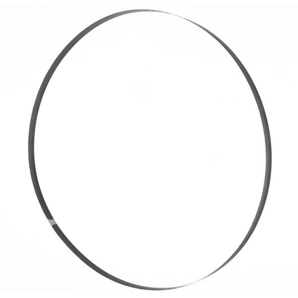 Lame de scie à ruban Holzmann 3886x10x0,6mm T6mm, BSB450B10
