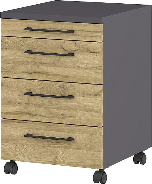 GERMANIA GW-PROFI 2.0 conteneur mobile 4251 Graphite/imitation chêne Grandson, 4251-564