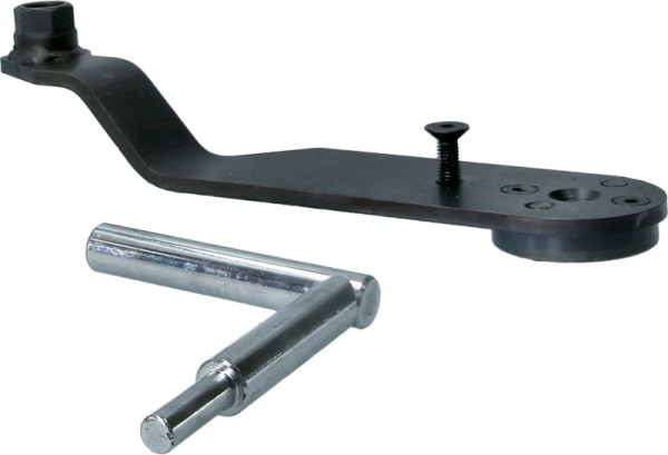 Brilliant Tools Outil de fixation de vilebrequin pour moteurs VAG 10 cylindres, BT596010