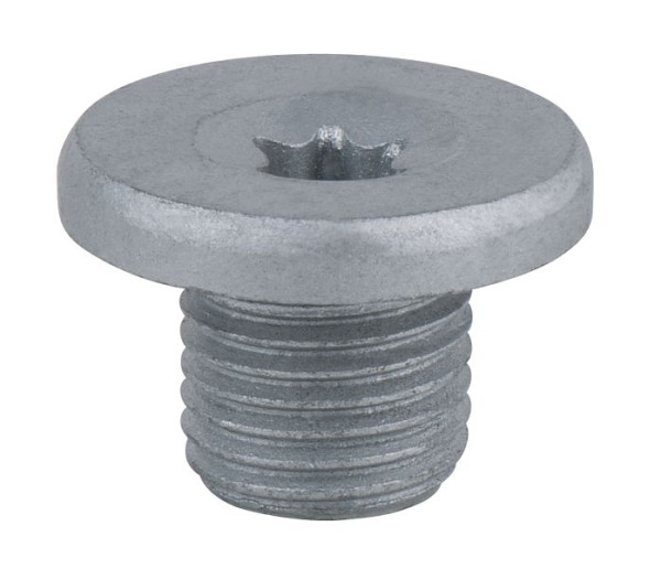 Vis de vidange d'huile KS Tools, Torx, T45 mm, M14x1,5x10,5 mm, paquet de 25, 430.2137