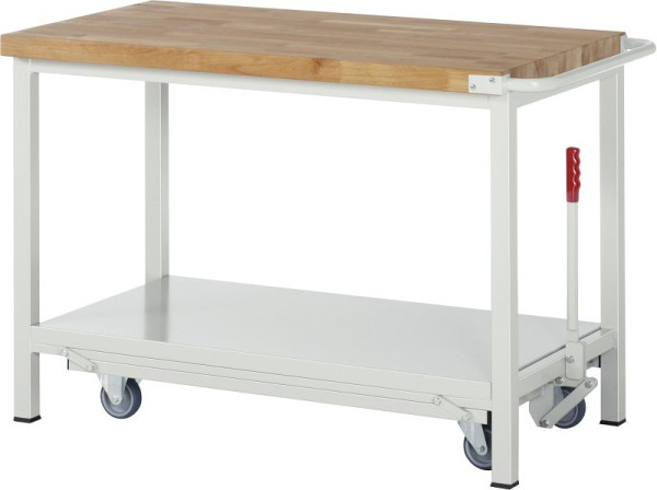 Etabli RAU avec châssis abaissable série 8000, 1250x880x700 mm, 05-8000-6-127B4F.12