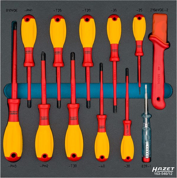 Jeu de tournevis Hazet, double isolation, profil Phillips PH, profil intérieur TORX®, 0,4 x 2,5 - 0,8 x 4, PH1 - PH2, T20 - T30, 163-546/12