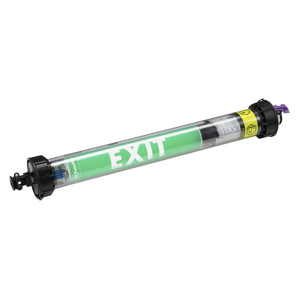 ELSPRO Ex-Arbeitsleuchte TYP ZEX LED, mit Notlichtfunktion, 24V, Ausführung: C, Eingang: Leitung, Stecker, AY-ZEX1LEDA242P