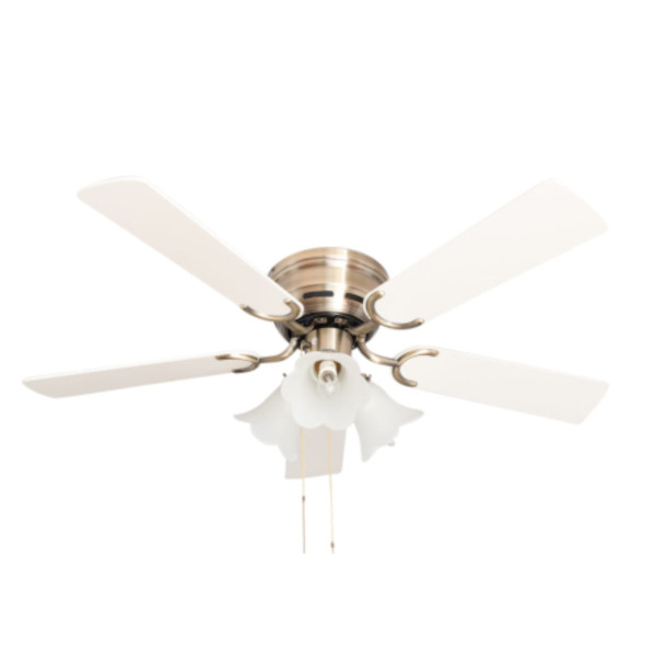 Ventilateur de plafond extra plat Pepeo Kisa Deluxe pales laiton antique blanc / érable avec éclairage, 105420190