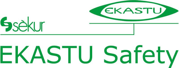 EKASTU Safety lecture de EKASTU Safety avec porte-clip CARINA KLEIN DESIGN ™, +1,0 dpt, 277110