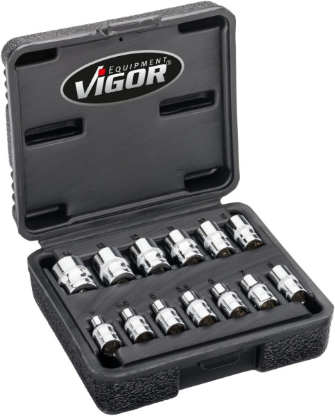 Jeu de clés à douille double six pans VIGOR, carré creux 6,3 mm (1/4 pouce), profil extérieur double six pans, 25 mm, nombre d'outils : 13, V7514/13