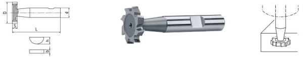 ELMAG Fraise à rainurer HSS Co5 DIN 850, Ø 25, 5 x 6,0 mm, 73521