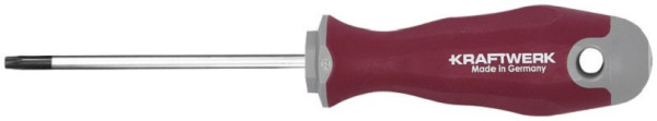 Tournevis Kraftwerk PRO LINE TX TX25 100, 305.430.025