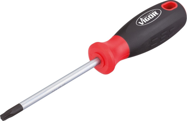 Tournevis TORX VIGOR, profil TORX interne, T30, V3392