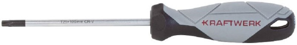Tournevis Kraftwerk BASIC LINE TX T25 x 100 mm, 305.103.025