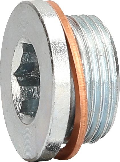 Bouchon de vidange d'huile KS Tools M22 x 1,5 x 13 mm pour Renault, 430.0602