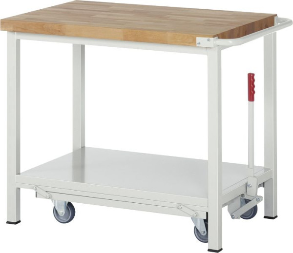 Etabli RAU avec châssis abaissable série 8000, 1000x880x700 mm, 05-8000-6-107B4F.12